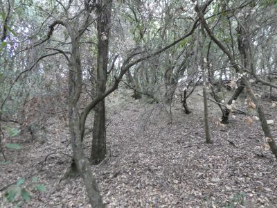 Vue montée Llinars