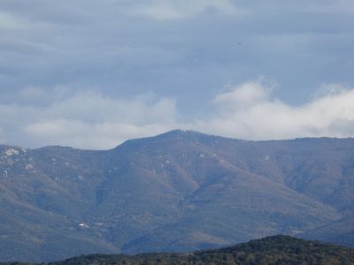 Vue Orella