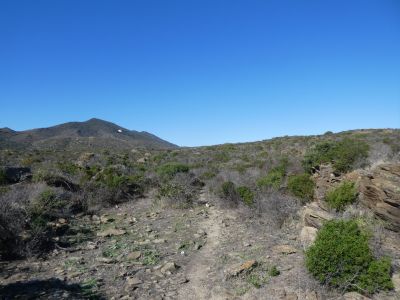 Vue sentier Planassa