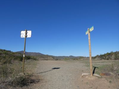 Croisement après Sabolla