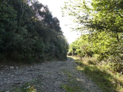 Croisement après Solana