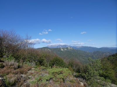 Vue Canigou