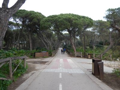 Croisement Pedrigolet