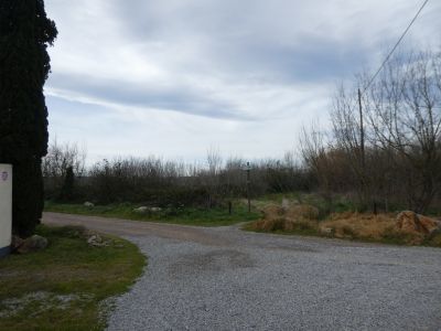 Croisement après Martí 2