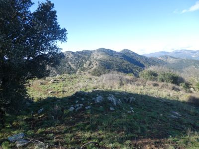Croisement Tarabaus 2