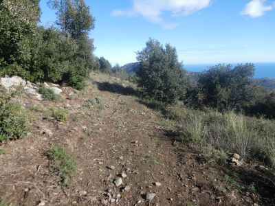 Croisement après Coll Tarabaus