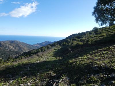 Croisement Font Tarabaus
