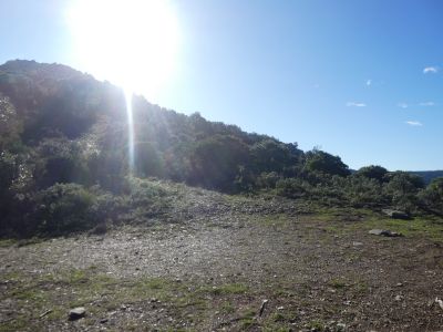 Coll Llaceres