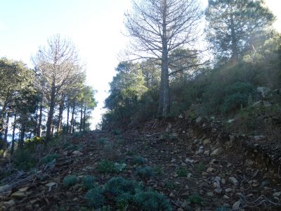 Croisement montée Ossetera