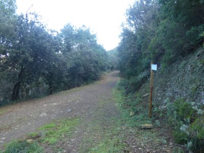 Croisement après Llaceres 2