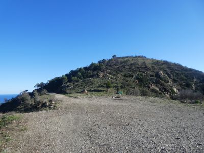 Coll Falcó