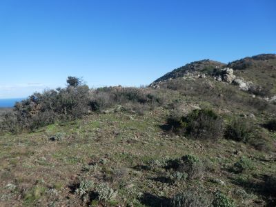 Coll Bessó