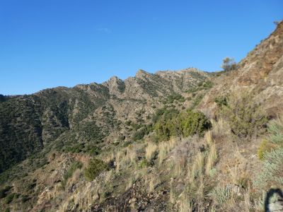 Vue Barbes Boc