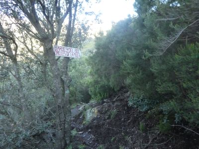 Croisement sentier Orelles