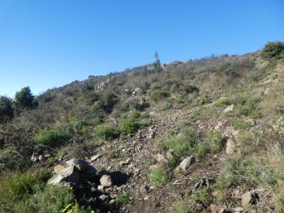 Vue Santa Helena 4