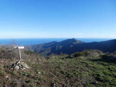 Coll Teixó