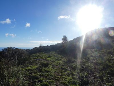 Croisement Petita
