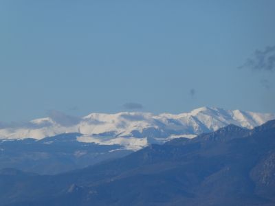 Vue Cap Bol