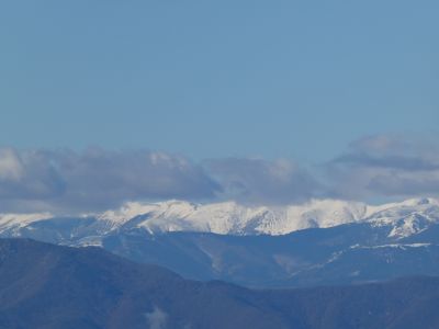 Vue Esquerdes