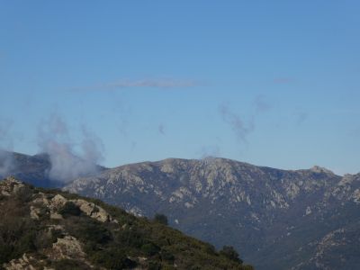 Vue Rosa