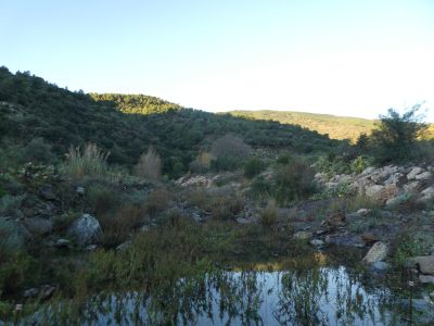 Vue Rec Molinàs