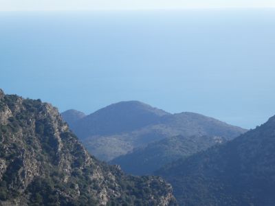 Vue Falcó