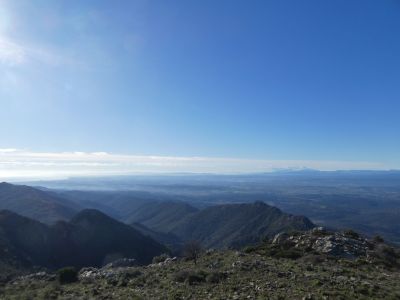 Vue Empordà