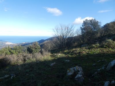 Croisement Tarabaus