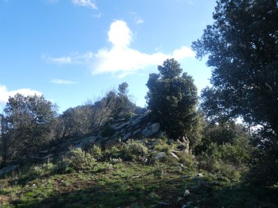 Vue montée Tarabaus