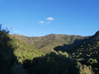 Vue Tarabaus
