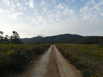 Vue piste Bregó