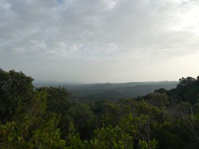 Vue Montgrí