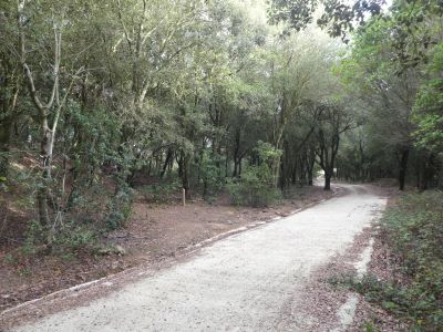 Croisement sentier interprétation