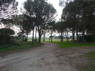 Croisement après gué Daró