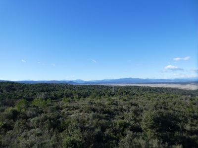 Vue Selva