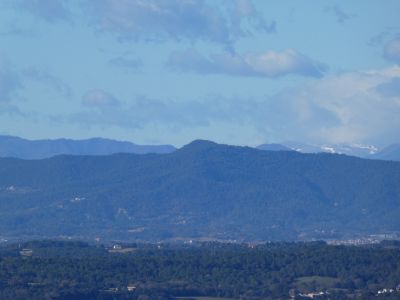Vue Patllari
