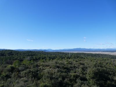 Vue Selva 2