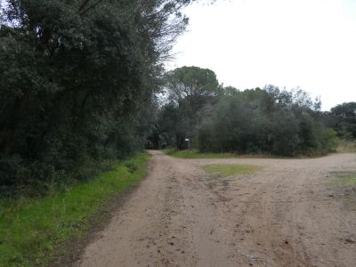 Croisement avant Resclosa