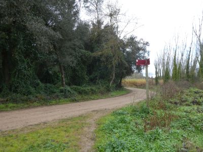 Croisement après Resclosa