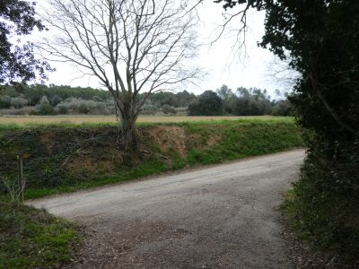 Croisement Farreres 2