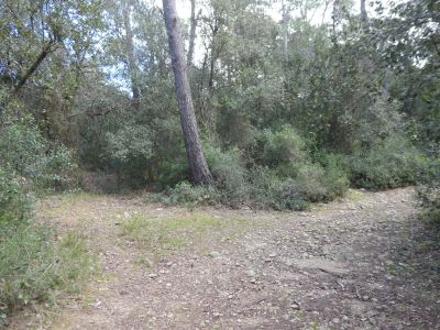 Croisement après Farreres 3