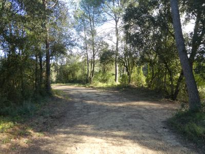 Croisement Cargol