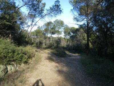 Croisement après Cargol