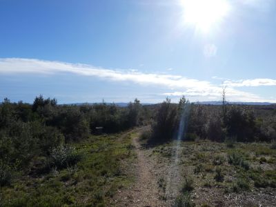 Vue Roca Maura