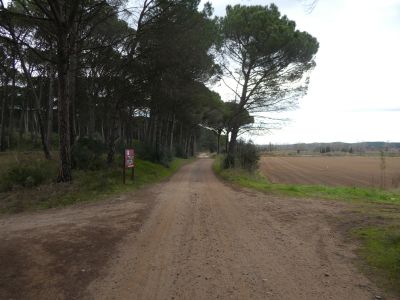 Croisement sentier Romà