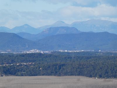 Vue Banyoles