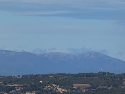 Vue Rasa