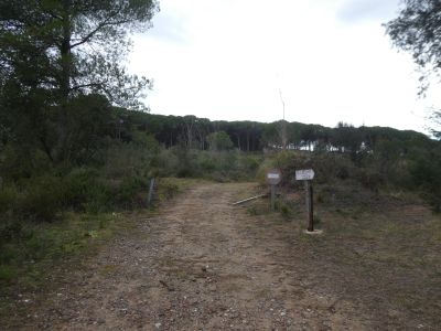 Croisement sentier Romà 2