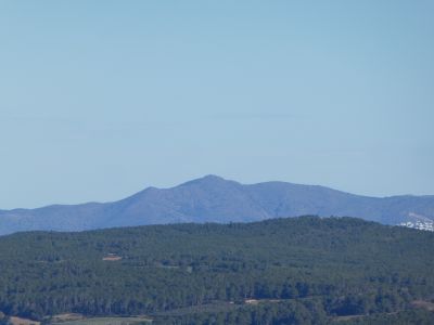 Vue Aliga