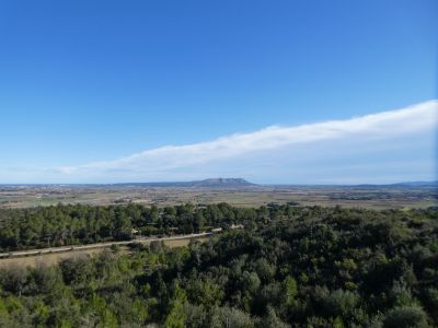Vue Montgrí